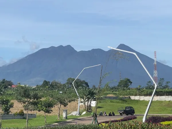 The Maple Golf Residence - Tropical Modern 11